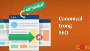 công cụ kiểm tra lỗi SEO