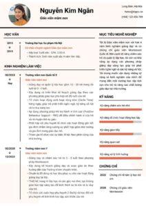 mẫu CV chuyên nghiệp