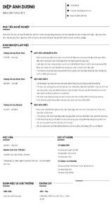mẫu CV chuyên nghiệp