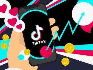 Toolngon Toolkit TikTok