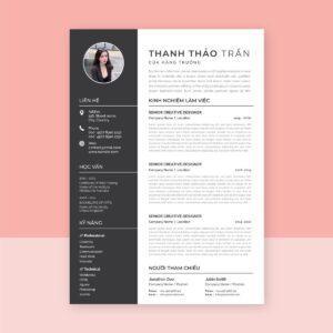 nền tảng tạo CV chuyên nghiệp online