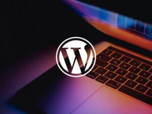 plugin wordpress review