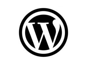 plugin wordpress review