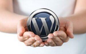 plugin wordpress tối ưu tốc độ